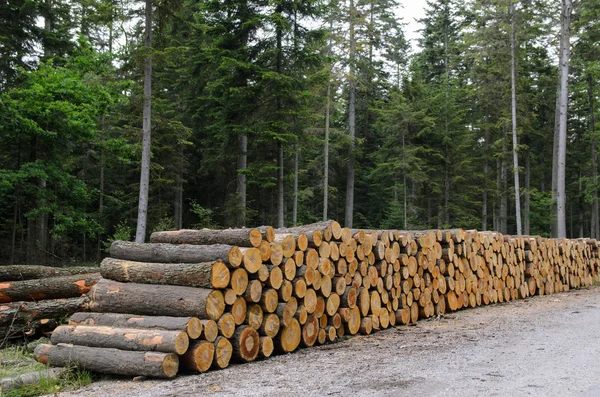 Högar av timmer längs vägen i skogen — Stockfoto