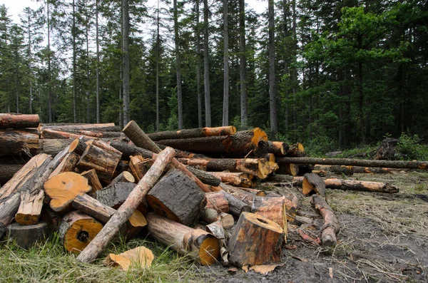 Högar av timmer längs vägen i skogen — Stockfoto