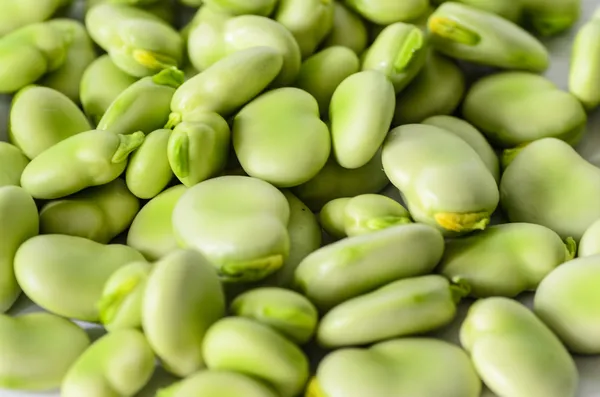 Closeup of broad bean - background, texture — Stock Photo, Image