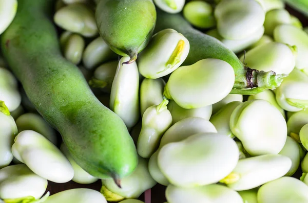 Närbild av bondbönor - bakgrund, struktur — Stockfoto