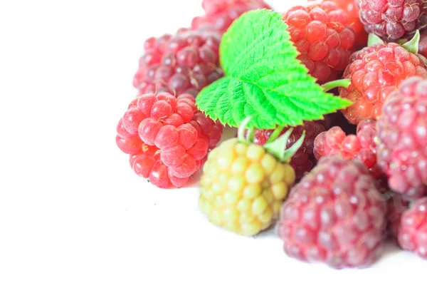 Closeup of multiple raspberries isolated on white background — Stock Photo, Image