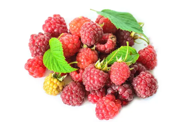 Closeup of multiple raspberries isolated on white background — Stock Photo, Image