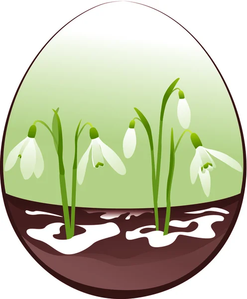 Snowdrops in Easter egg — Stock Vector