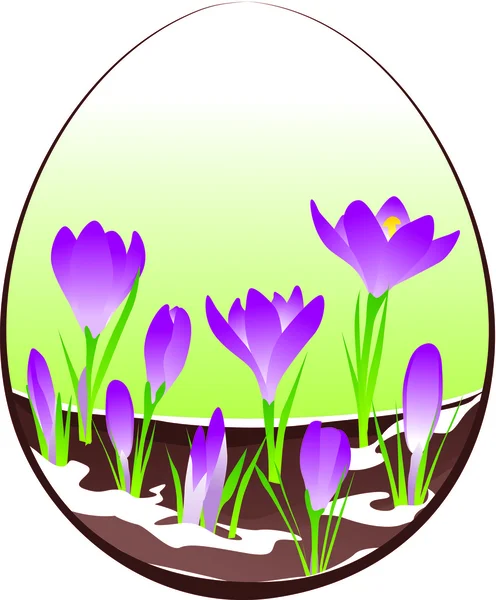 Krokus in easter egg — Stockvector