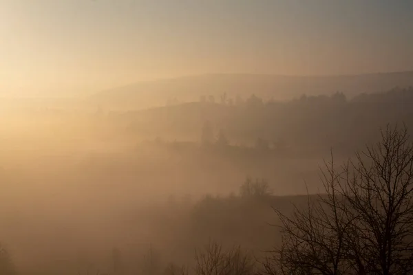 Forêt Automne Enveloppée Par Brume — Photo