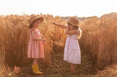 Hasır şapkalı ve pembe elbiseli iki küçük kız buğday tarlasında eğleniyor. Kız arkadaşlar birbirinin burnunu çavdar viskisiyle gıdıklıyor. Sarı lastik çizmeli abla, diğeri çamurda yalınayak.