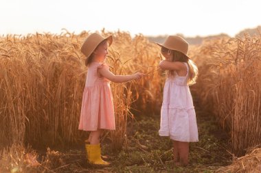 Hasır şapkalı ve pembe elbiseli iki küçük kız buğday tarlasında eğleniyor. Kız arkadaşlar birbirinin burnunu çavdar viskisiyle gıdıklıyor. Sarı lastik çizmeli abla, diğeri çamurda yalınayak.