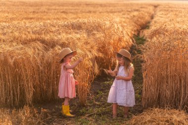 Hasır şapkalı ve pembe elbiseli iki küçük kız buğday tarlasında eğleniyor. Kız arkadaşlar birbirinin burnunu çavdar viskisiyle gıdıklıyor. Sarı lastik çizmeli abla, diğeri çamurda yalınayak.