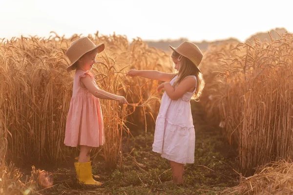 Hasır şapkalı ve pembe elbiseli iki küçük kız buğday tarlasında eğleniyor. Kız arkadaşlar birbirinin burnunu çavdar viskisiyle gıdıklıyor. Sarı lastik çizmeli abla, diğeri çamurda yalınayak.