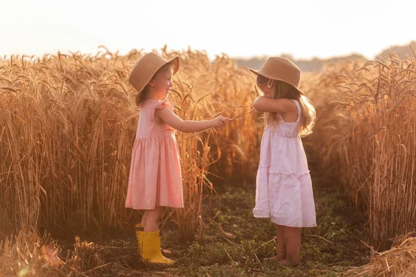 Dos Niñas Con Sombreros Paja Vestidos Rosas Están Divirtiendo Campo —  Fotos de Stock