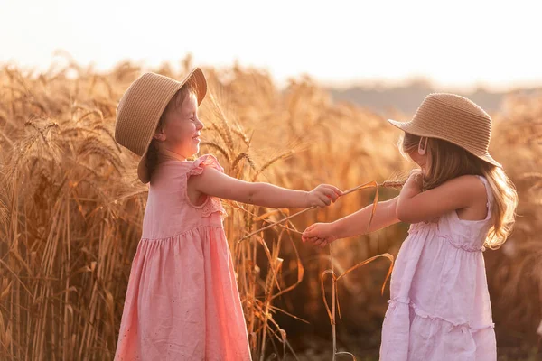 Zwei Kleine Mädchen Strohhüten Und Rosa Kleidern Amüsieren Sich Weizenfeld — Stockfoto