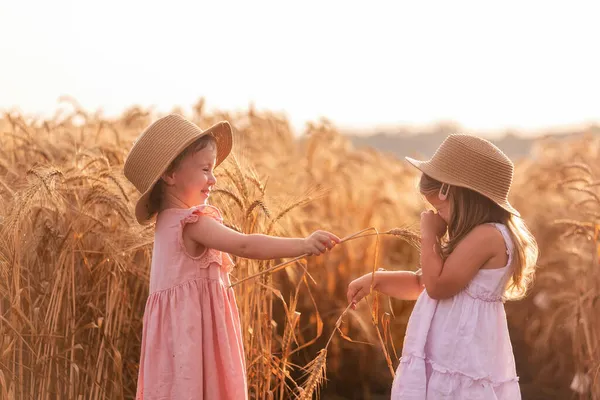 Dua Gadis Kecil Dengan Topi Jerami Dan Gaun Merah Muda — Stok Foto