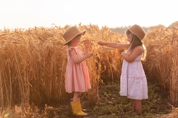 Zwei Kleine Mädchen Strohhüten Und Rosa Kleidern Amüsieren Sich Weizenfeld — Stockfoto