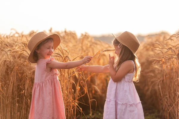 Twee Kleine Meisjes Met Strohoedjes Roze Jurken Hebben Plezier Het — Stockfoto