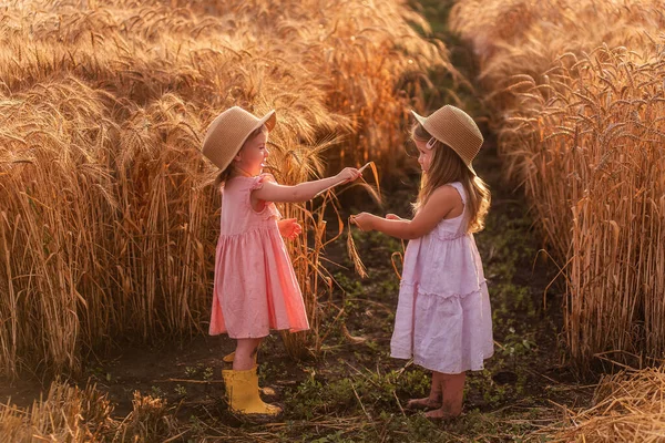 Dwie Małe Dziewczynki Słomkowych Kapeluszach Różowych Sukienkach Bawią Się Polu — Zdjęcie stockowe