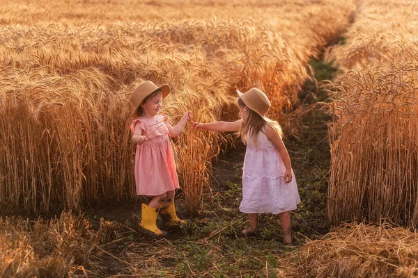 Hasır şapkalı ve pembe elbiseli iki küçük kız buğday tarlasında eğleniyor. Kız arkadaşlar birbirinin burnunu çavdar viskisiyle gıdıklıyor. Sarı lastik çizmeli abla, diğeri çamurda yalınayak.