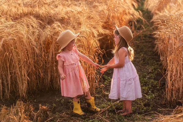 麦畑では 藁帽子とピンクのドレスを着た2人の妹が走り回っています ガールフレンドは楽しさを持っています ライ麦のスパイクを収集 黄色のゴム製のブーツの少女は 泥の中に他の裸足で — ストック写真