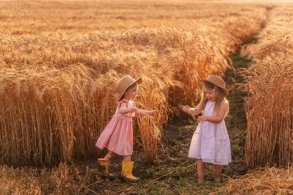 麦畑では 藁帽子とピンクのドレスの2人の女の子が楽しんでいます ガールフレンドは互いの鼻をライ麦の小穂でくすぐる 黄色のゴム製のブーツの妹 泥の中の他の裸足で — ストック写真