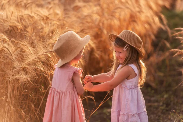 Две Младшие Сестры Соломенных Шляпах Розовых Платьях Бегают Пшеничному Полю — стоковое фото