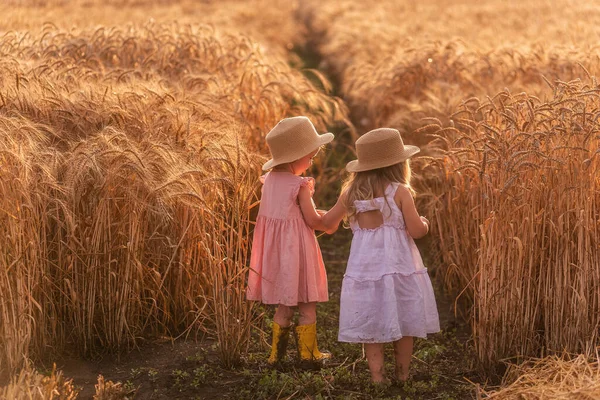 Zwei Kleine Schwestern Strohhüten Und Rosa Kleidern Laufen Weizenfeld Herum — Stockfoto