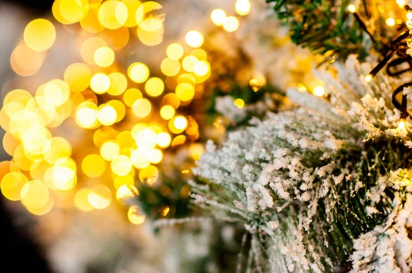 Postal Festiva Rama Cubierta Nieve Árbol Navidad Sobre Fondo Bokeh — Foto de Stock