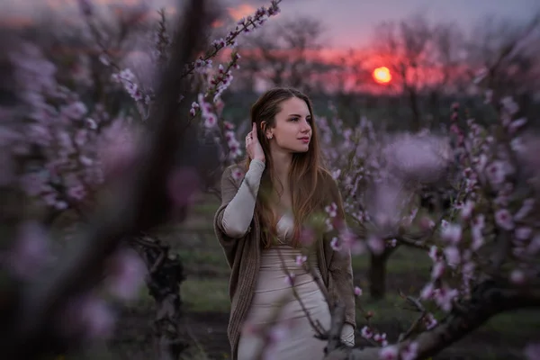 ピンク色の桜の庭の若い千年紀の女性は 赤い太陽の夕日に咲く 柔らかい桃の花で自然の美しさの女の子のクローズアップ肖像画 週末は田舎の街の外を歩く — ストック写真