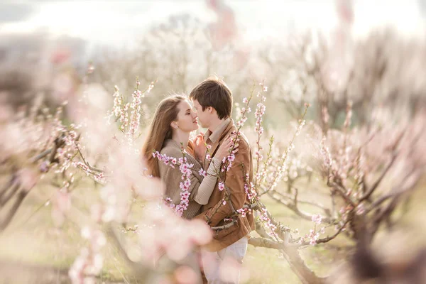 Pareja Feliz Enamorada Atardecer Florecientes Jardines Rosas Melocotón Hombre Pone — Foto de Stock