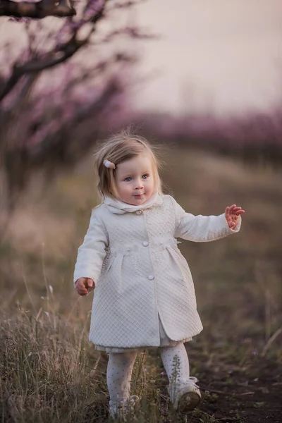 Little Toddler Girl White Coat Stands Field Blooming Peach Rose — Stock Photo, Image