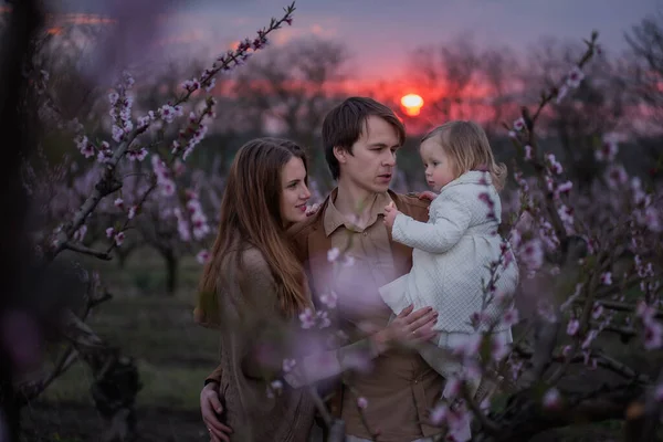 Família Moderna Feliz Entre Árvores Jardim Florescendo Rosa Pai Tem — Fotografia de Stock