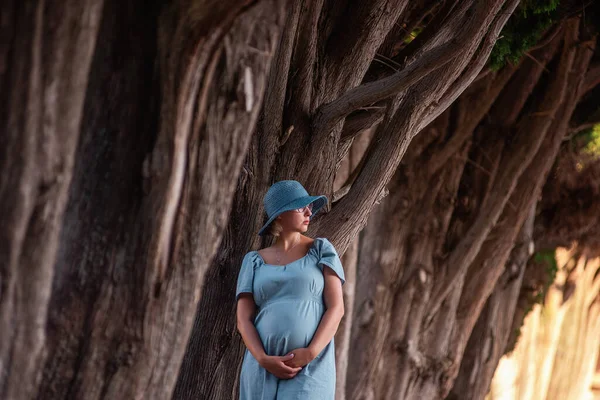 Retrato Mujer Embarazada Mediana Edad Vestido Azul Denim Sombrero Futura — Foto de Stock