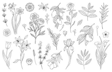 Set abstract elegant line art flower and leaf. Continuous boho line art silhouette of floral artwork. Outline Modern Design concept.