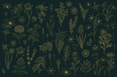 Set abstract elegant line art flower and leaf. Continuous boho line art silhouette of floral artwork