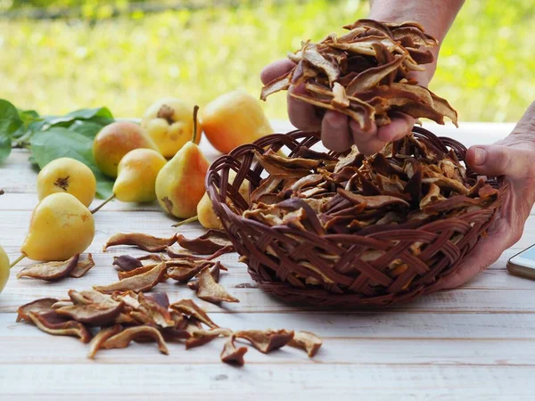 Estação Colheita Frutos Secos Para Uso Futuro Mãos Mulher Seguram — Fotografia de Stock