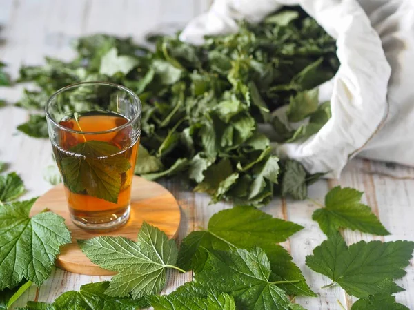 Kantung Kain Dengan Daun Currant Kering Daun Currant Segar Dan — Stok Foto