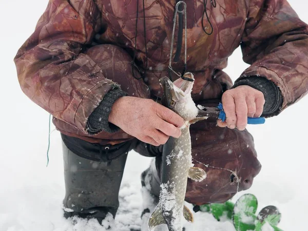 Winter Fishing Fisherman Sits Frozen River Catches Fish Drilled Hole — Stock Photo, Image