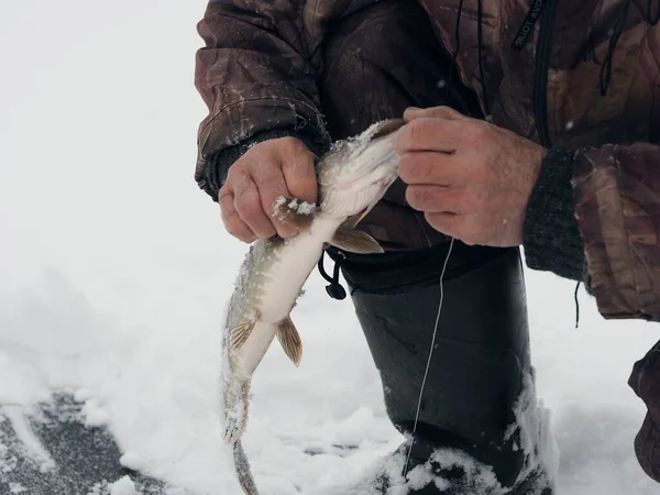 Winter Fishing River Pike Fell Bait Ice Hole Winter Snowy — Stock Photo, Image