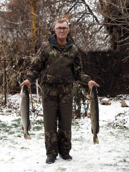 Russian Rivers Just Caught River Large Fish Carp Hands Fisherman — Stock Photo, Image