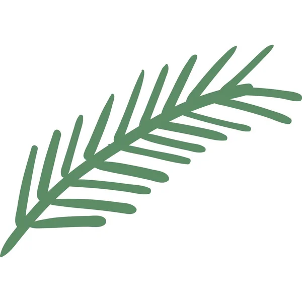 Ícone de ramo de abeto vetor de agulha de pinheiro galho sempre verde — Vetor de Stock