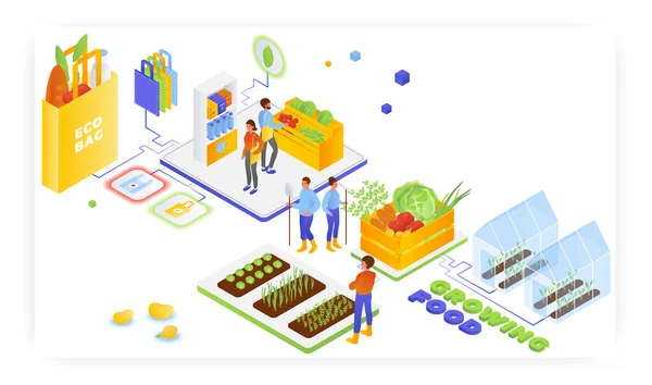 Agricultores cultivando verduras orgánicas. Las personas que compran con bolsas ecológicas, ilustración isométrica vector. Vida sana. — Archivo Imágenes Vectoriales