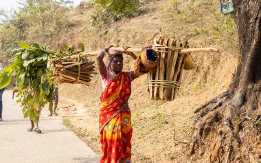 Purulia, Ayodhya Tepesi, Batı Bengal, Hindistan - 15 Aralık 2021: kafasında odun taşıyan kabile kadını