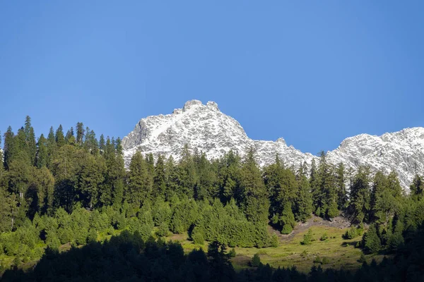 Snow Peak Mountain Range Glowing Sunlight Green Pine Forest Clear — Foto de Stock