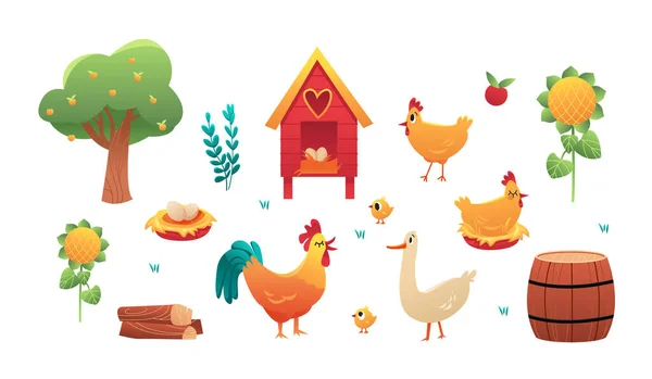 Conjunto Vectorial Aves Granja Aisladas Sobre Fondo Blanco Pollo Gallo — Archivo Imágenes Vectoriales