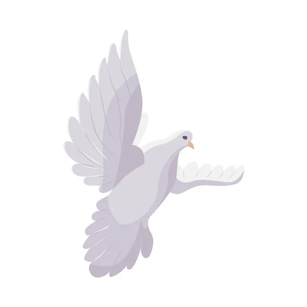 Pigeon Blanc Colombe Volant Isolé Sur Fond Blanc Symbole Paix — Image vectorielle