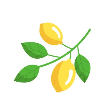 Limon dalı beyazın üzerinde izole edilmiş. Çizgi film düz stiliyle vektör illüstrasyonu.