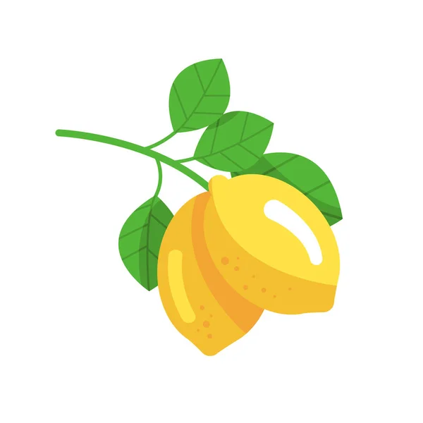 Branch Lemon Fruits Isolated White Vector Illustration — Stockový vektor