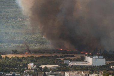 Atina, Yunanistan, 03 Ağustos 2021: Atina 'nın kuzeyindeki Varympompi banliyösünde büyük çaplı bir yangın görüldü. Kalın duman pirokümülüs fenomenini gösteriyor.. 