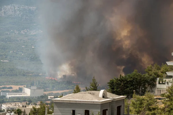 Atina, Yunanistan, 03 Ağustos 2021: Atina 'nın kuzeyindeki Varympompi banliyösünde büyük çaplı bir yangın görüldü. Kalın duman pirokümülüs fenomenini gösteriyor.. 