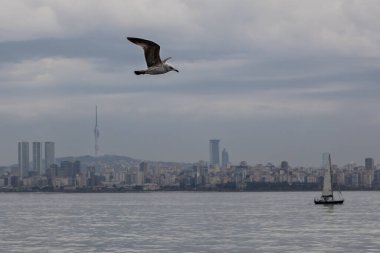 In the foreground is a white-brown gull. It flies in the air, spreading its wings against of the lonely small boat and gloomy faded city line of Istanbul along the coast. Cloudy dull day at the sea.