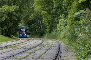 A city or suburban tram on the rails blurs in the distance. Endless curved railway on concrete slabs with sprouted grass. Green arch of trees closes over the tram. Railway disappears into the distance