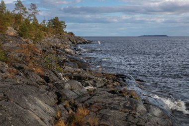 Northern landscape with rugged stony skerries washed by lake Ladoga. Rare plants grow through the cracks in the rocky shore. In the background, the harsh deep dark waters of the lake and gloomy sky
